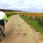 Route Grand crus Burgundy