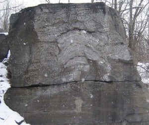 Chazy Reef, Fisk Quarry, Vermont