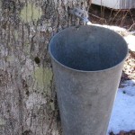 1280px-Maple_syrup_bucket