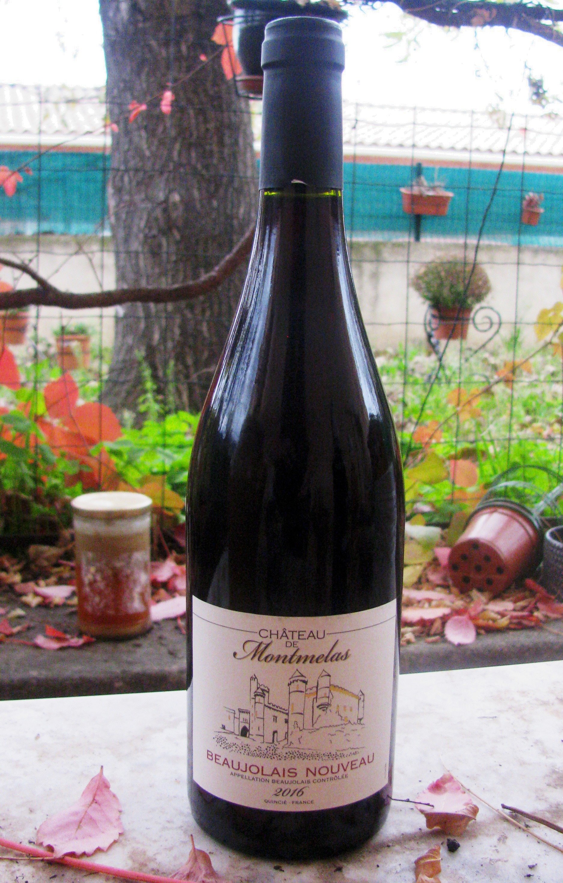 Beaujolais Nouveau The Story of France's Youngest Wine VBT Blog