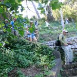 Amalfi Coast Walking
