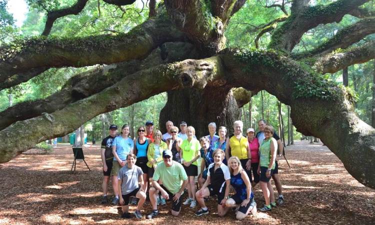 Angel Oak, South Carolina