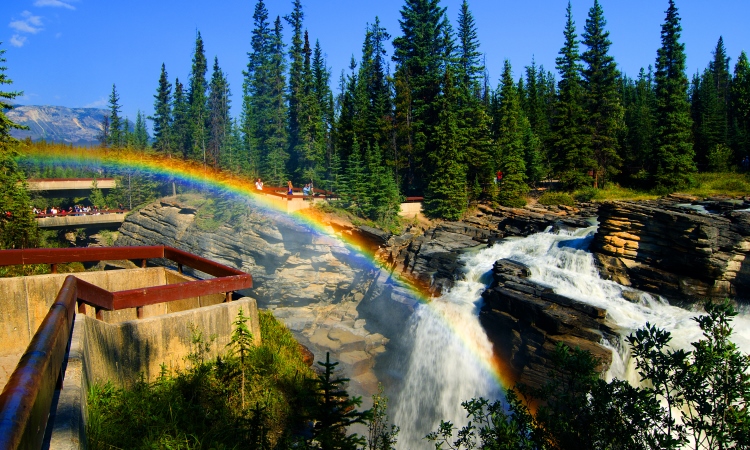Athabasca Falls, Canadian Rockies Bike Tour, VBT