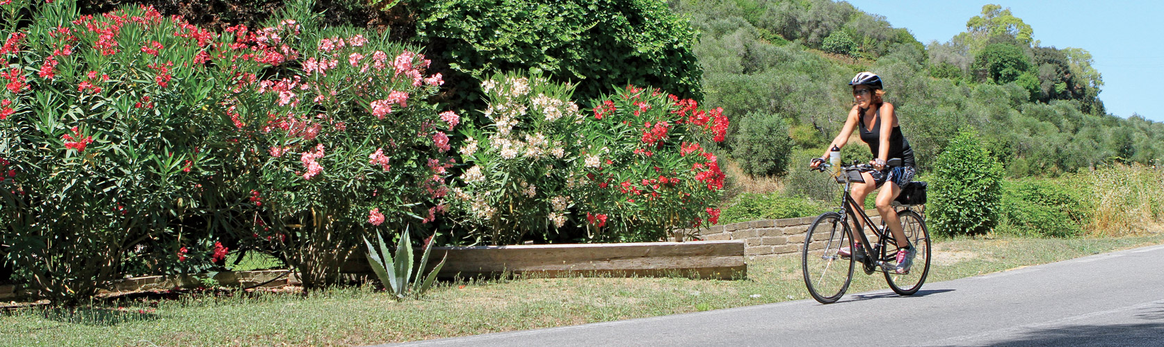vbt bike tours