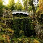 Black forest flora; VBT Alsace & Black Forest biking tour