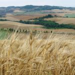 Tuscany bike tour, Maremma VBT