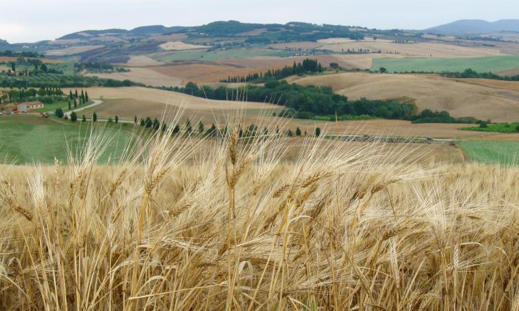 Tuscany bike tour, Maremma VBT