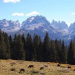 Brenta Dolomites, blog