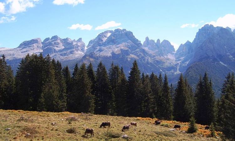 Brenta Dolomites, blog