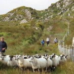 Ireland walking