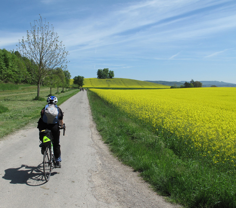 Lake Constance Guided Bike Tours VBT Bicycling Vacations
