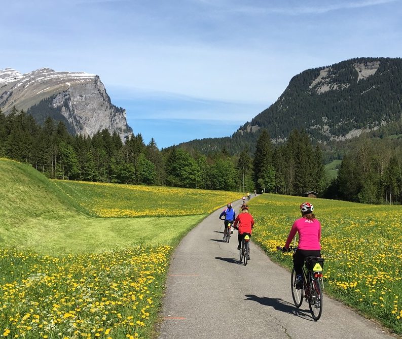 lake constance bike tour