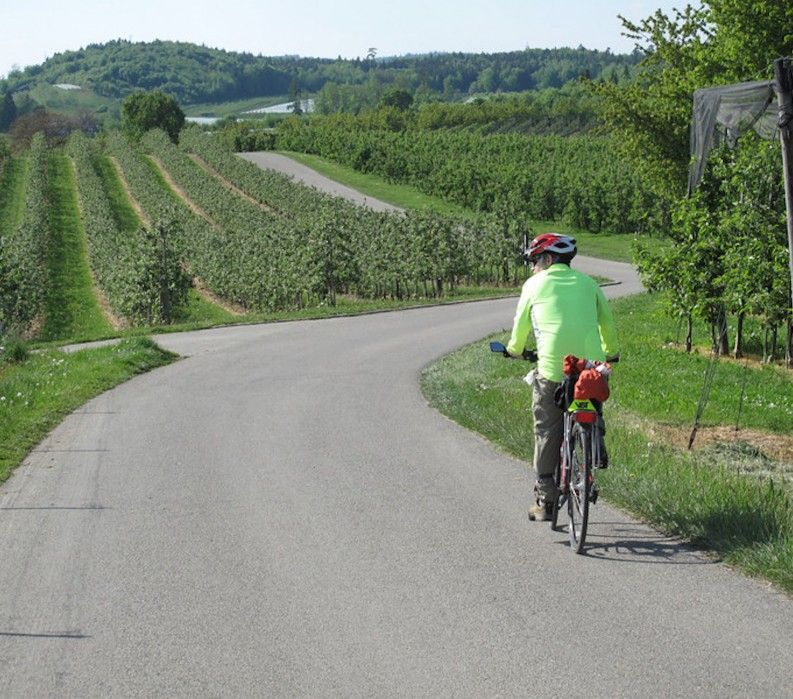 lake constance bike tour