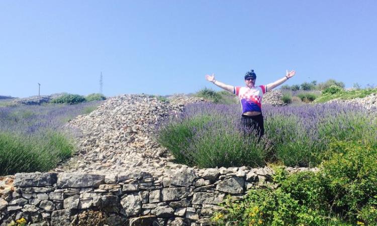 Croatia Lavender field VBT biking tour 