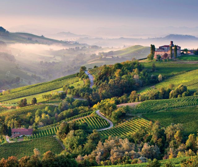 Cycling Piedmont: Into Italy's Slow Food Farmland
