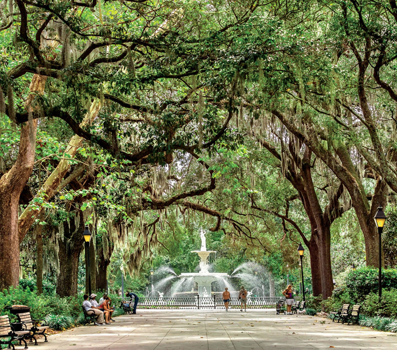 vbt bike tours charleston