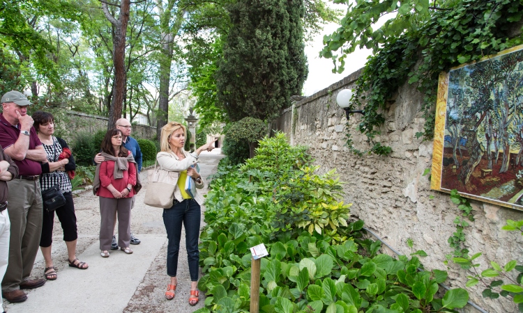 van Gogh walking tour, Saint remy Provence, VBT