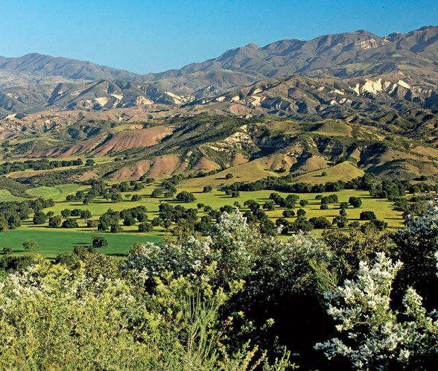 Santa Barbara & The Santa Ynez Valley