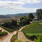 South Africa Wine Region, VBT Blog