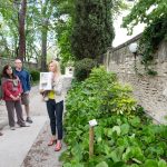 St Remy Van Gogh Art Walk - VBT Bicycling tour Provence