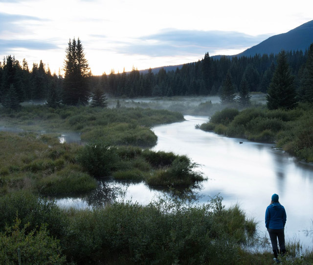 Yukon to Yellowstone