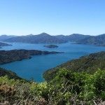 New Zealand Walking