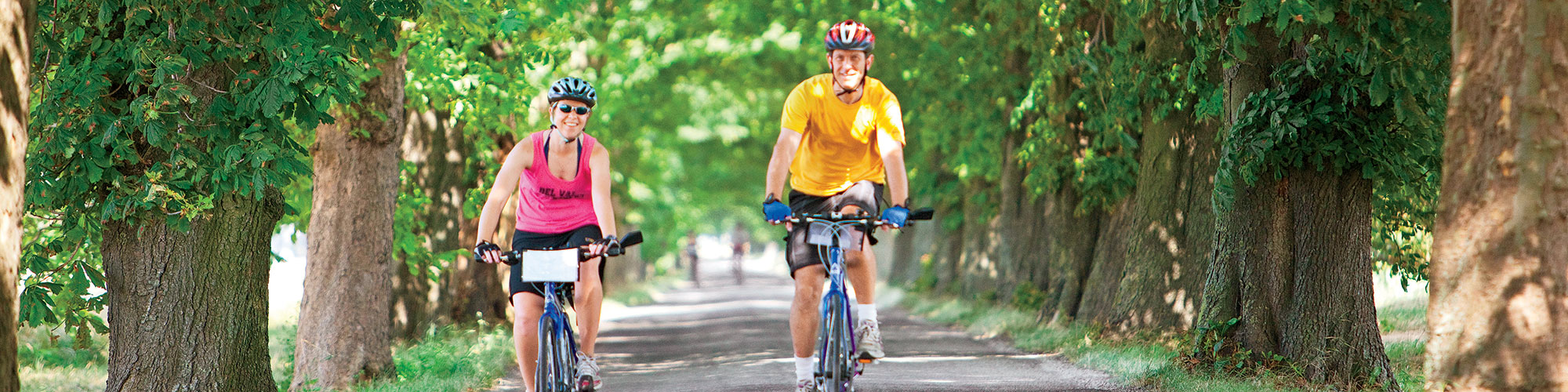 vbt bicycling vacations tours