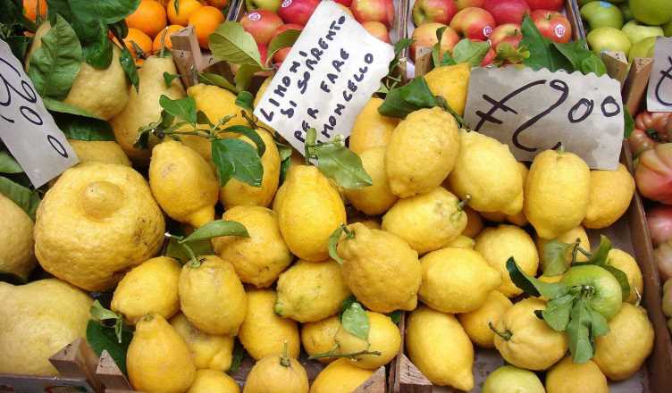 Amalfi lemons, Lemon Cake, VBT