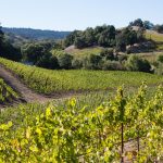 Napa Valley Vineyards, Top North American Vistas, VBT