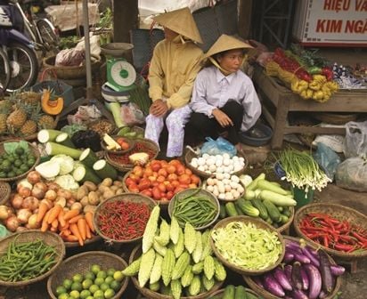 Hanoi market, Vietnam Bike Tour