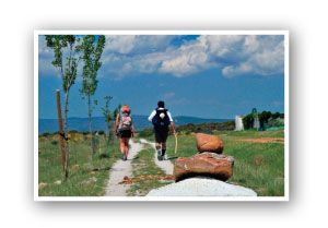 walking-fm-2
