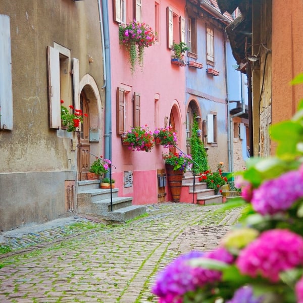 Switzerland, Germany & France: The Black Forest & the Alsace Wine Route 11