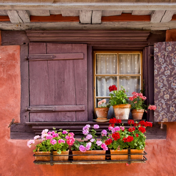 Switzerland, Germany & France: The Black Forest & the Alsace Wine Route 2