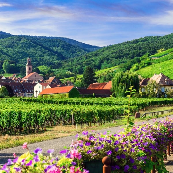 Switzerland, Germany & France: The Black Forest & the Alsace Wine Route 5