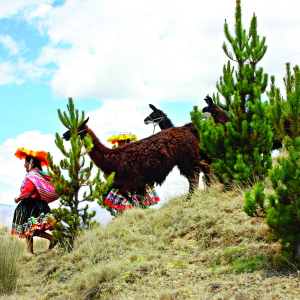 Peru: Machu Picchu & the Sacred Valley