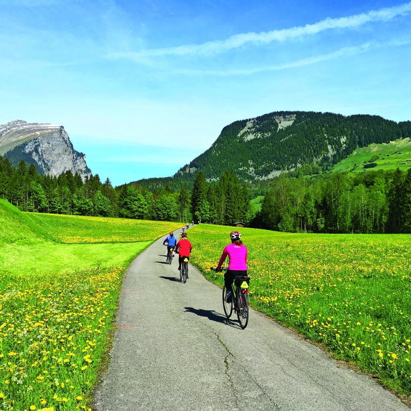 Austrian Bike Tours VBT Bicycling Vacations
