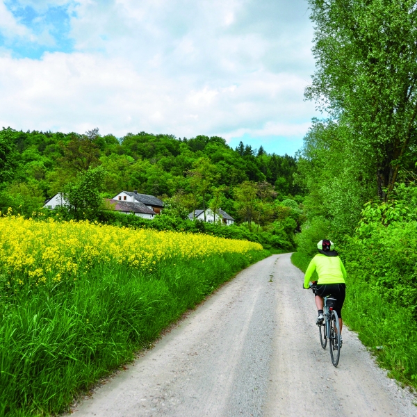 Danube Bike & River Cruise: Nuremberg to Budapest