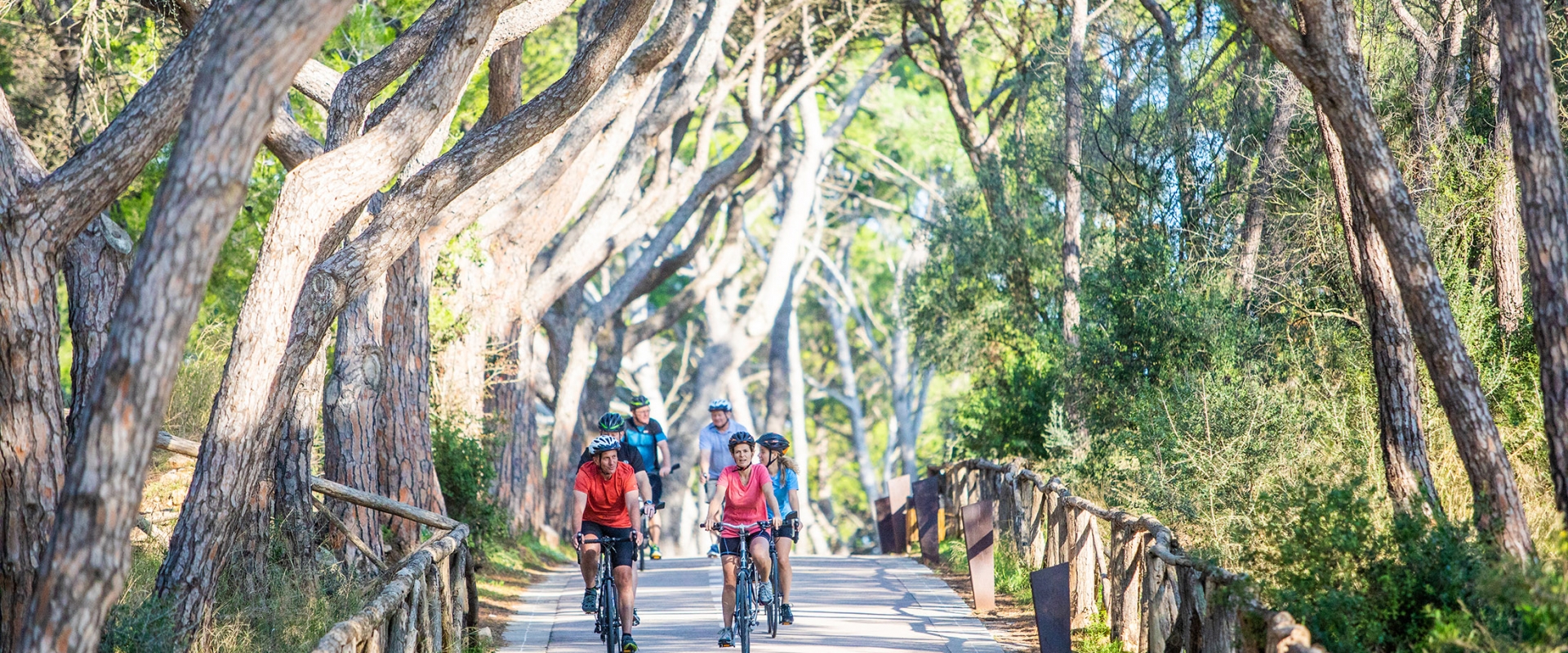 Take A VBT Trip, and You Just Might Meet Your New Best Friends 2
