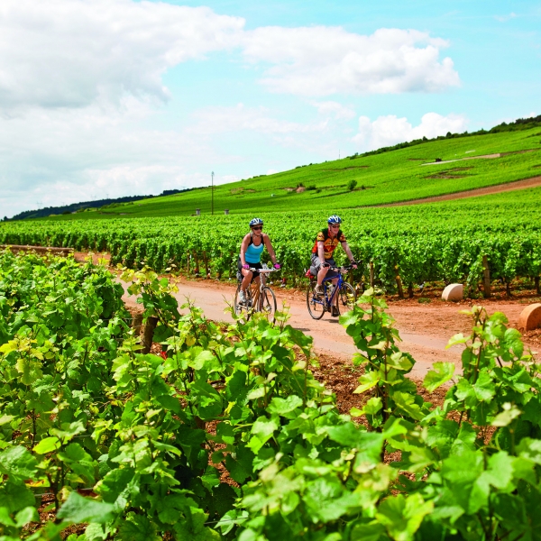 Burgundy: The Wine Route