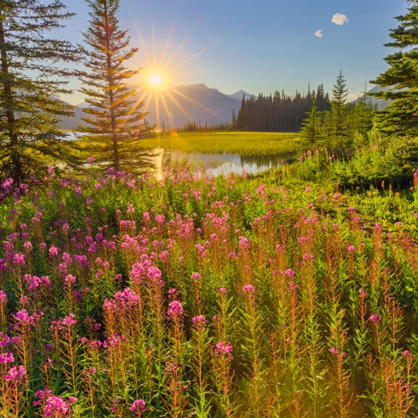Alberta: Banff National Park & the Canadian Rockies 9