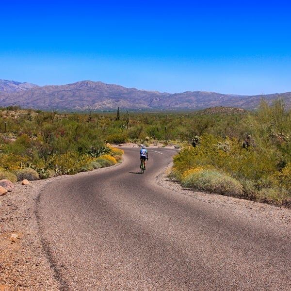Arizona: Saguaro National Park & the Sonoran Desert 15