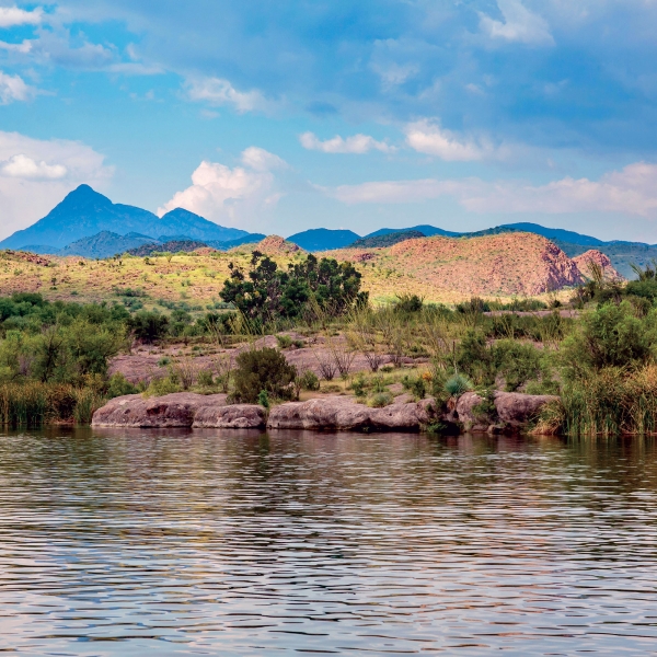 Arizona: Saguaro National Park & the Sonoran Desert 20