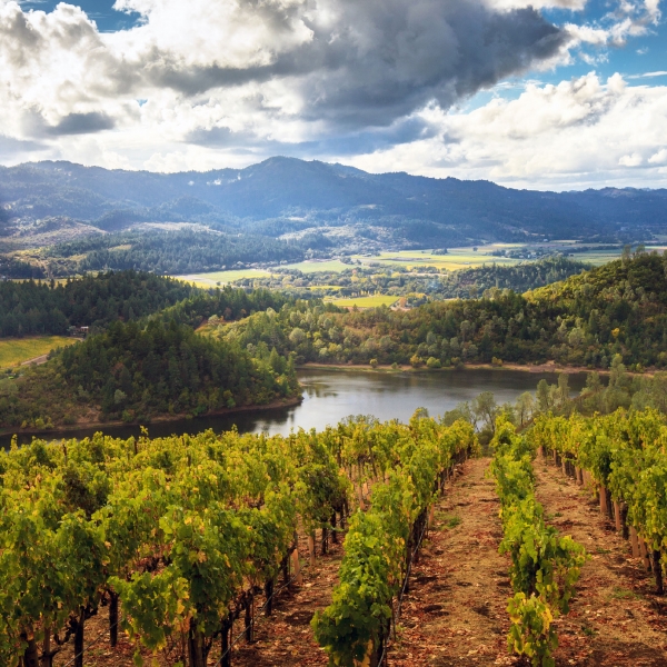 California: Wine Country & the Pacific Coast 11