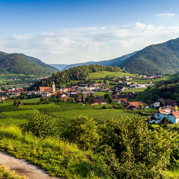 Danube Bike & River Cruise: Prague to Budapest 5