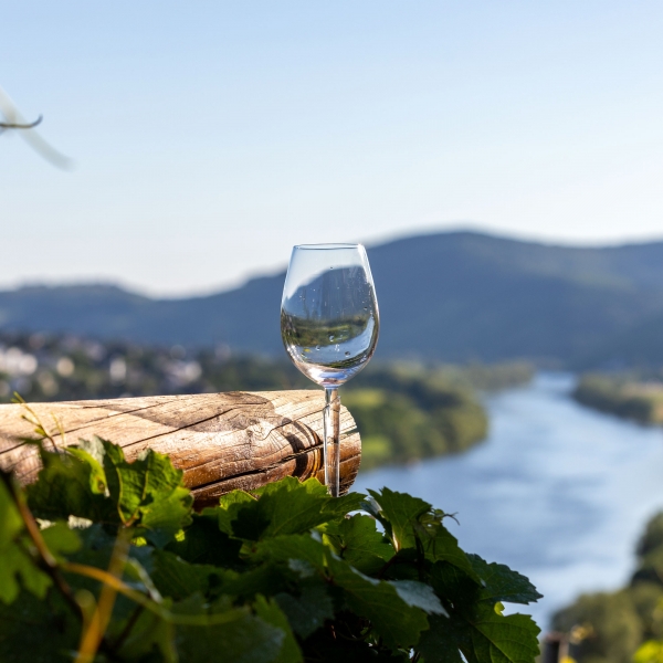 France, Luxembourg & Germany Bike & Boat: Mosel River Valley 14