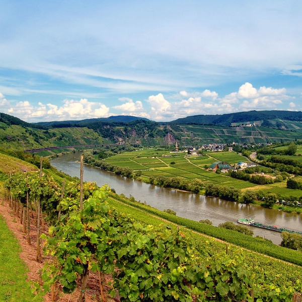 France, Luxembourg & Germany Bike & Boat: Mosel River Valley 7