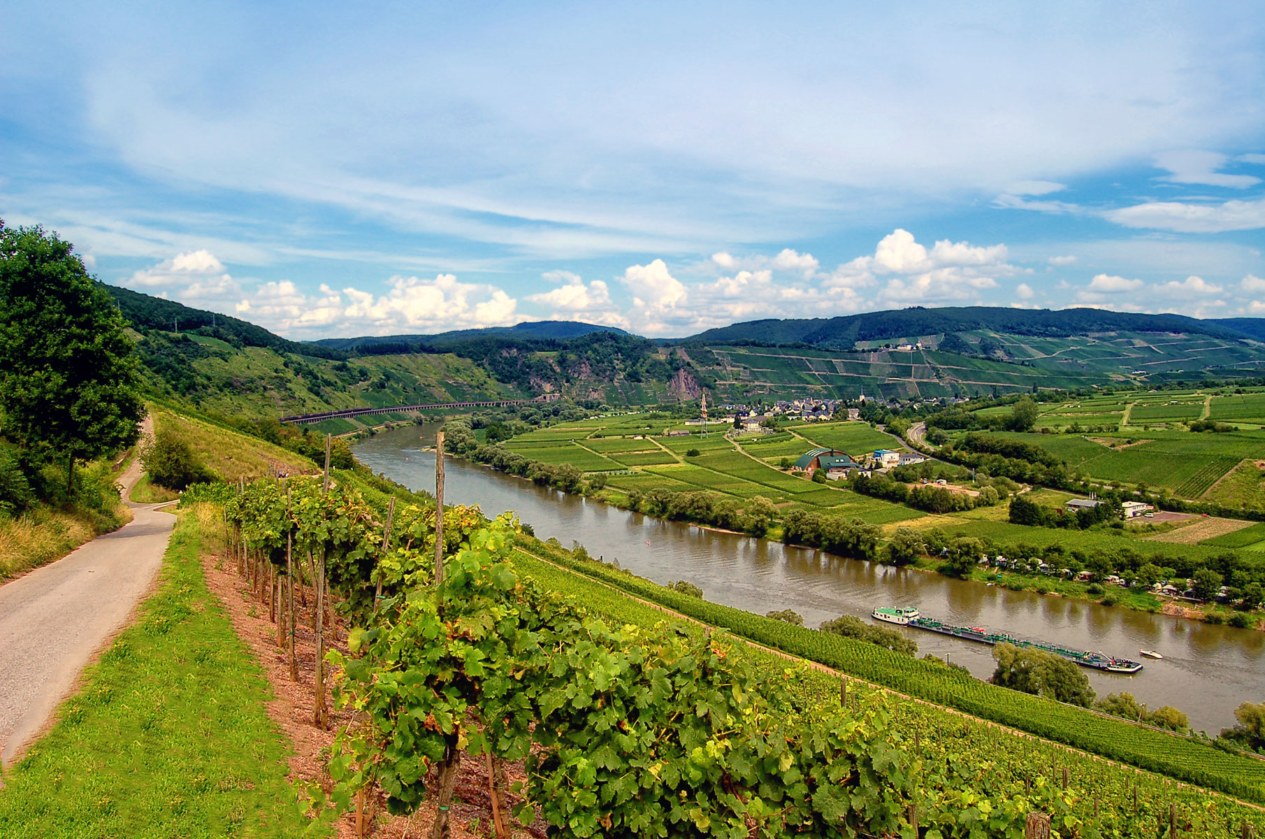 Germany, Luxembourg & France Bike & Boat: Mosel River Valley