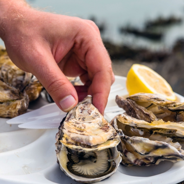 France: Normandy & Brittany 11