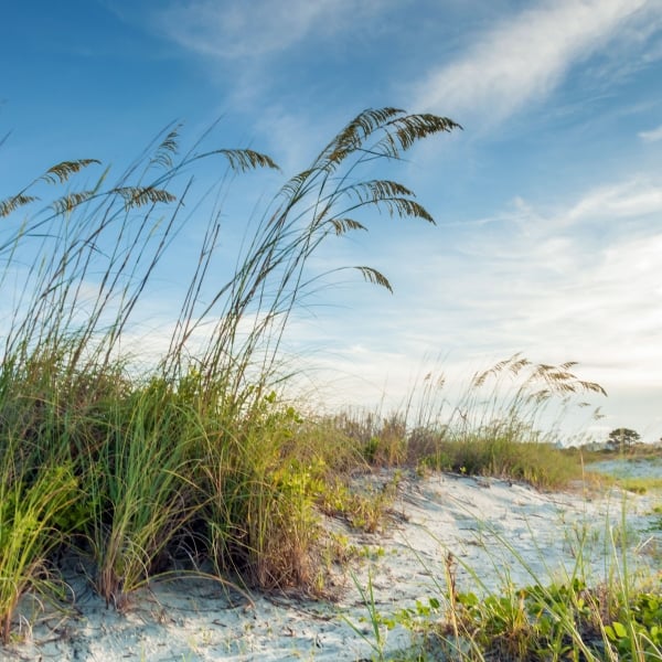 Georgia & Florida: Jekyll Island & St. Augustine 3