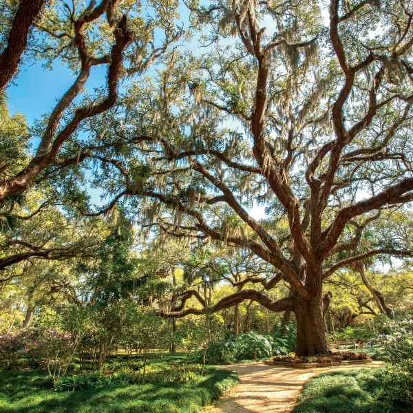 Georgia & Florida: Jekyll Island & St. Augustine